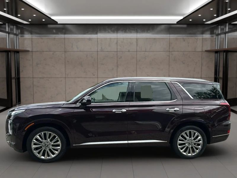 2020 Hyundai Palisade Limited - Photo 11