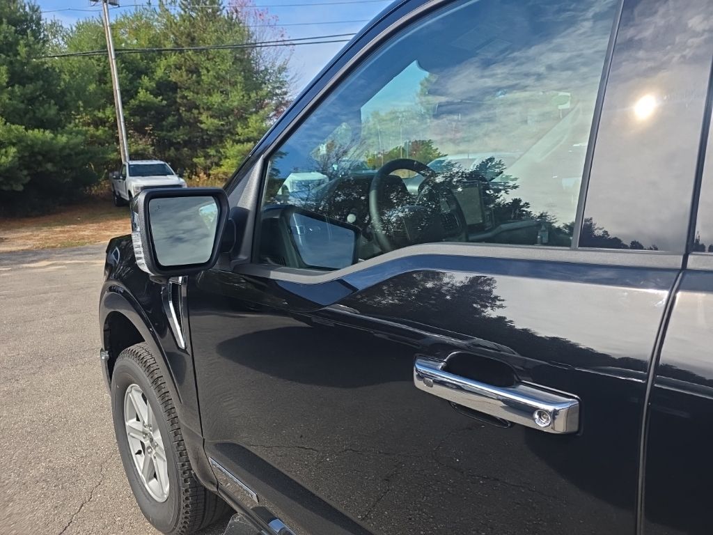 2025 Ford F-150 XLT - Photo 10