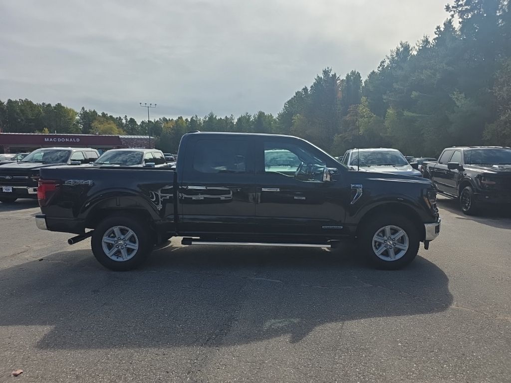 2025 Ford F-150 XLT - Photo 6