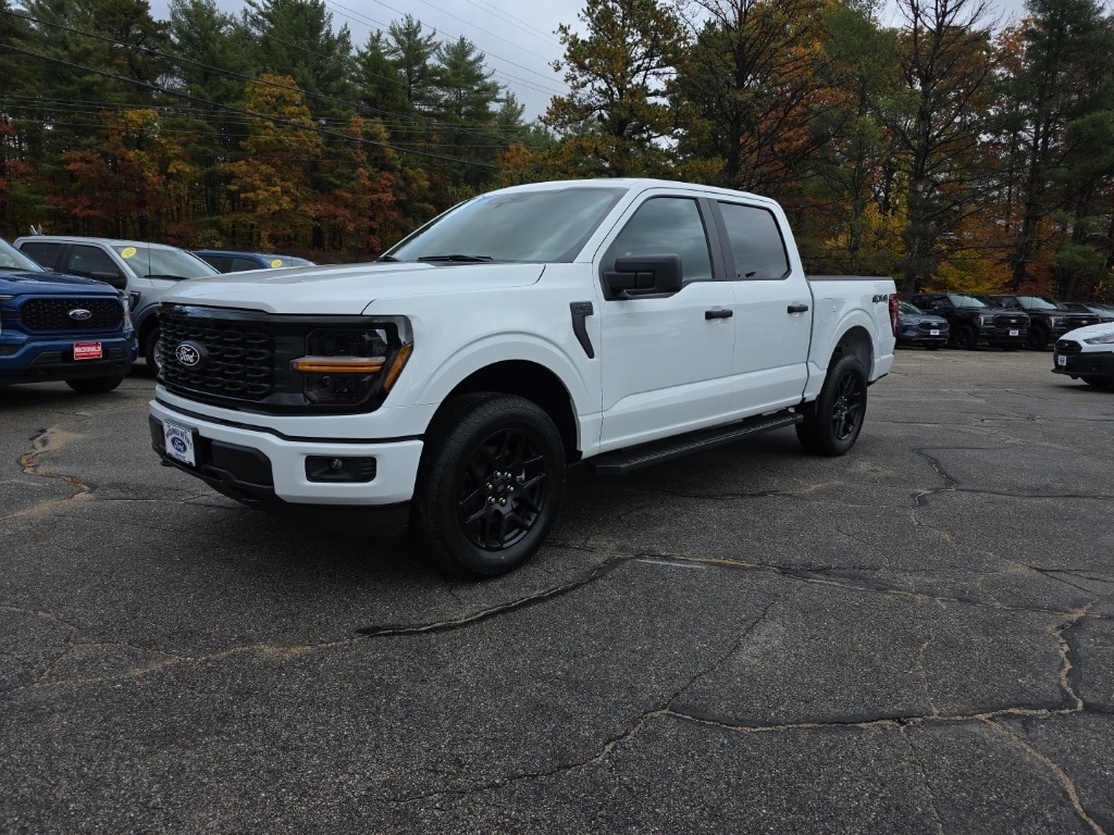 2025 Ford F-150 STX's photo