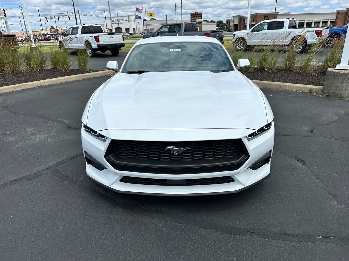 2024 Ford Mustang EcoBoost Premium photo 2