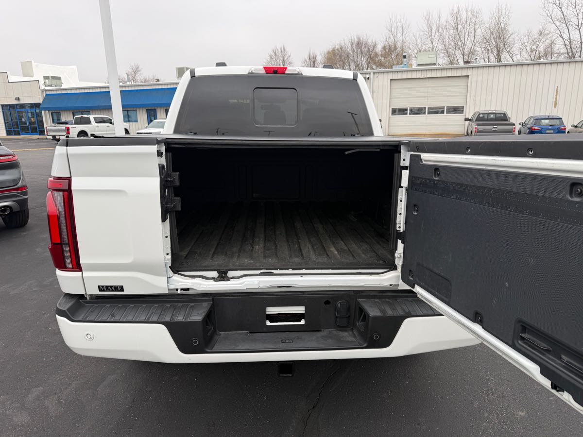 2024 Ford F-150 Platinum - Photo 10
