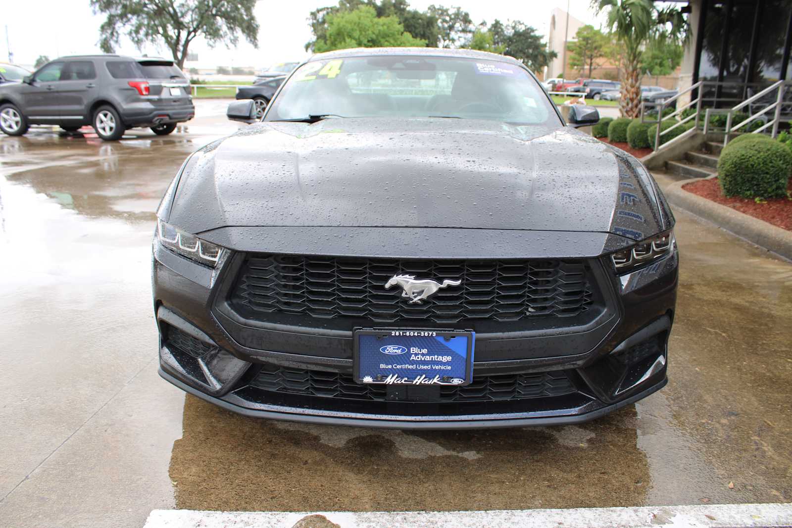 Used 2024 Ford Mustang EcoBoost with VIN 1FA6P8TH2R5107076 for sale in Pasadena, TX