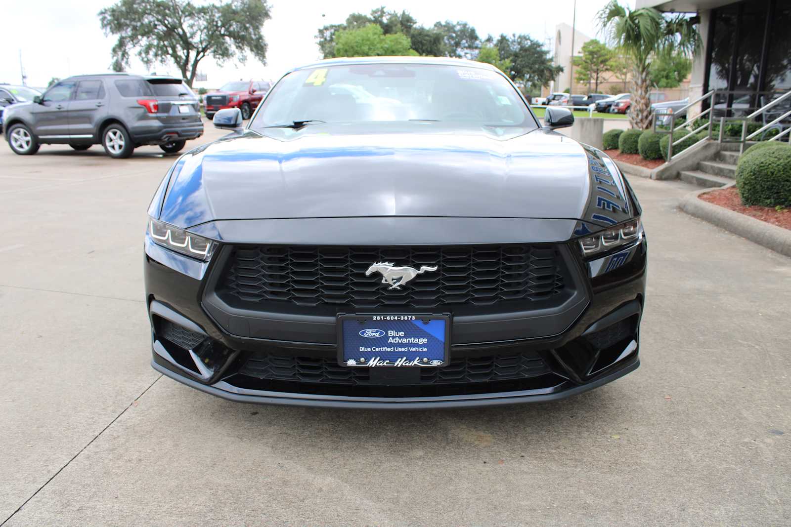 Used 2024 Ford Mustang EcoBoost with VIN 1FA6P8TH5R5106701 for sale in Pasadena, TX