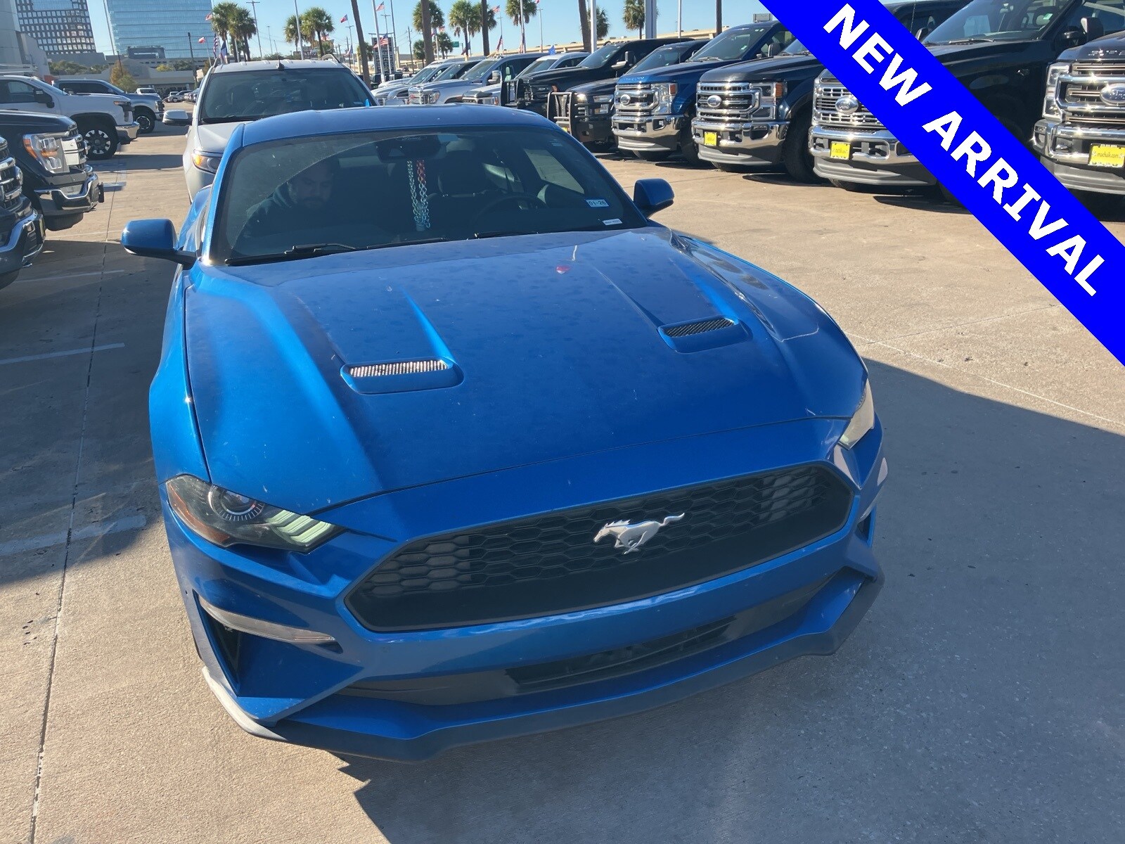 2021 Ford Mustang EcoBoost photo 2