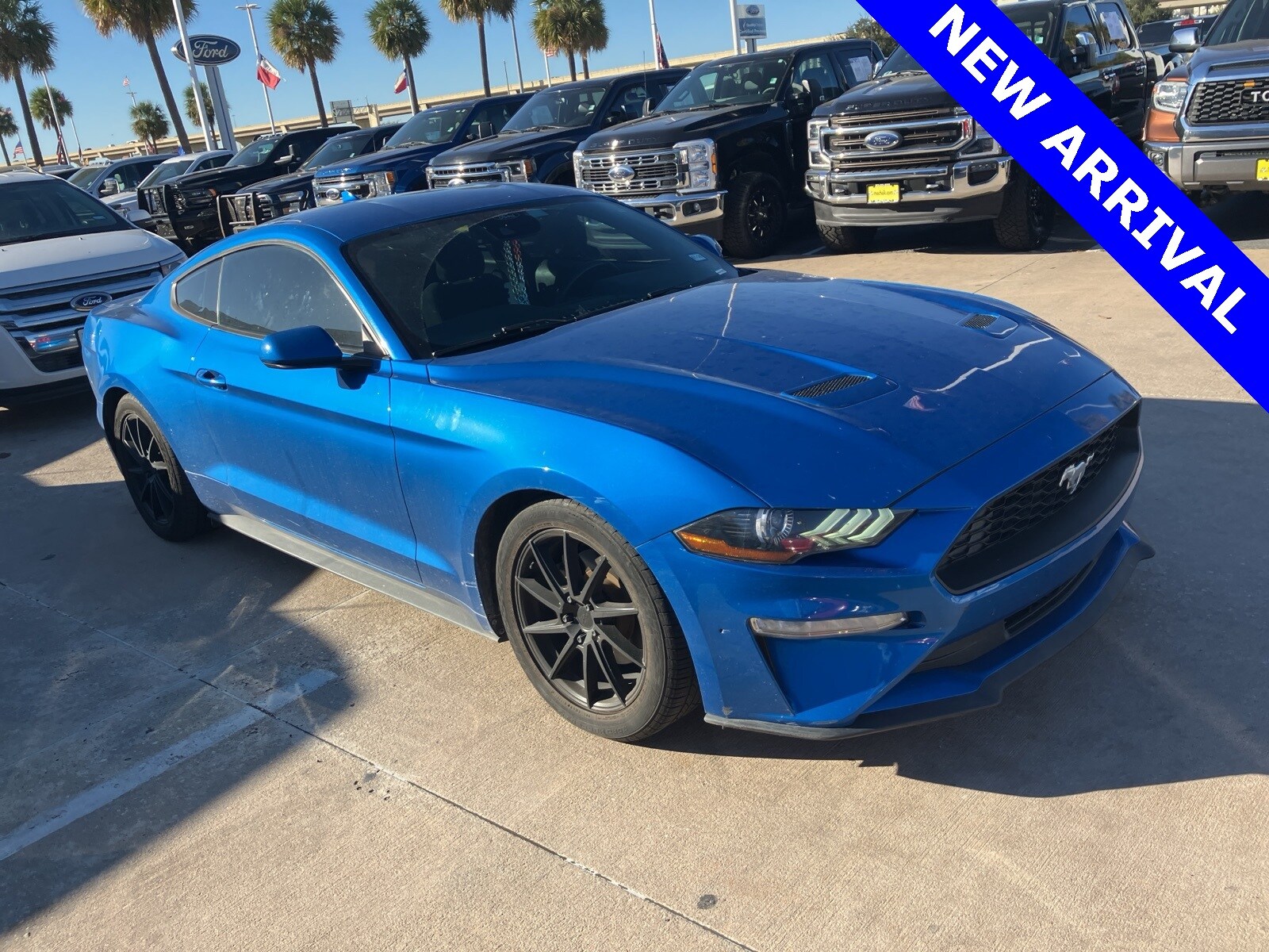 2021 Ford Mustang EcoBoost photo 3