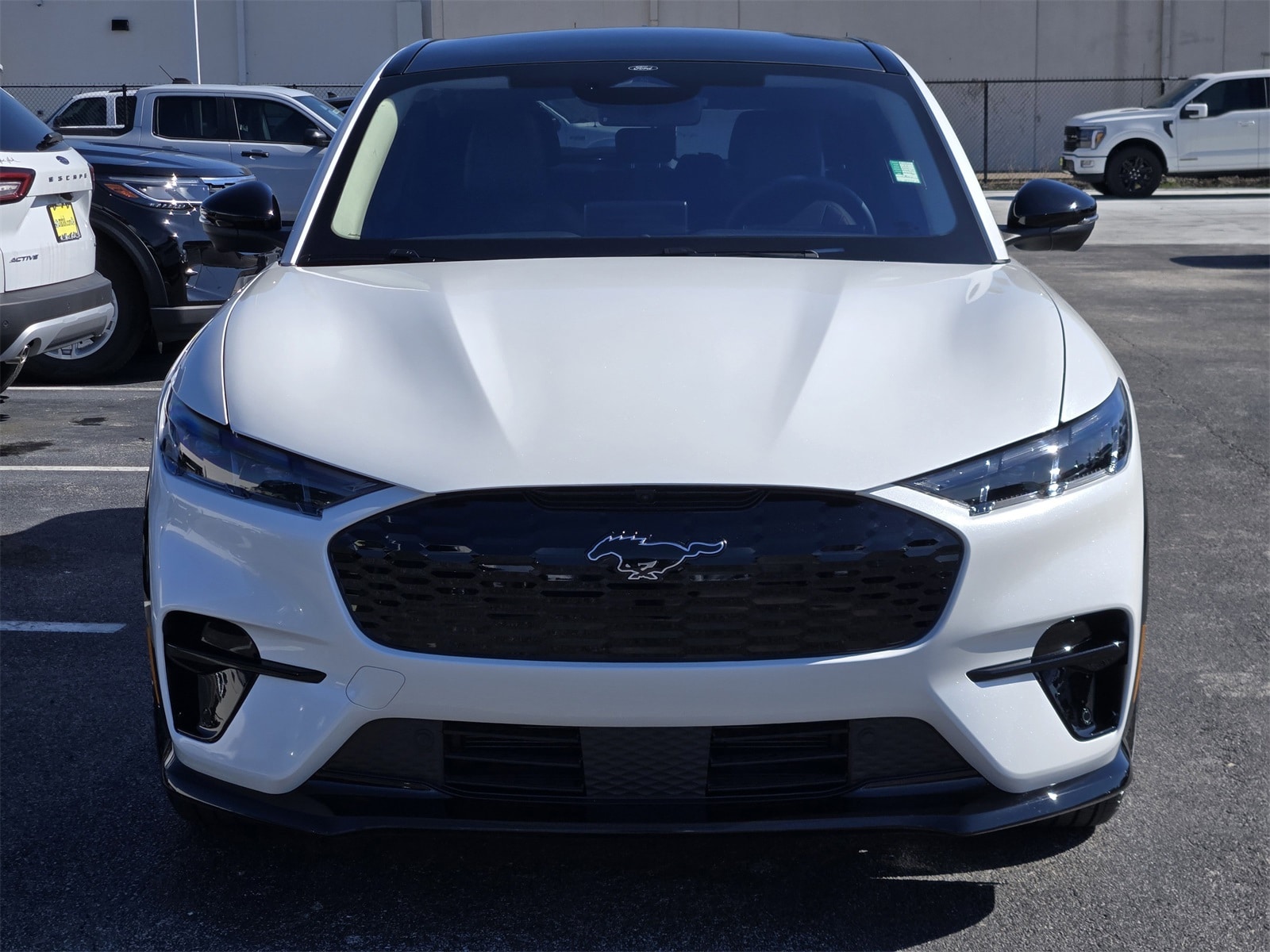 Used 2025 Ford Mustang Mach-E Premium RWD with VIN 3FMTK3R74SMA38903 for sale in Houston, TX