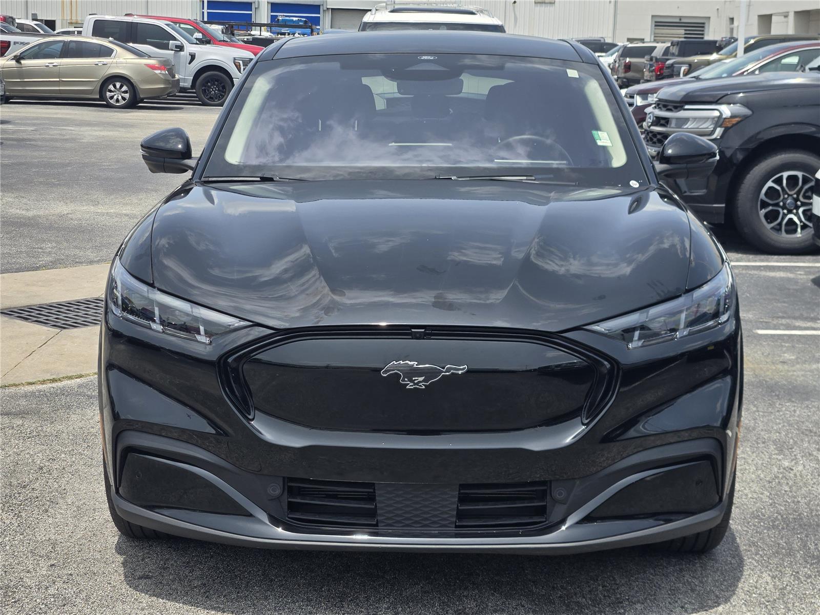 Certified 2025 Ford Mustang Mach-E Premium AWD with VIN 3FMTK3SU5SMA12438 for sale in Houston, TX