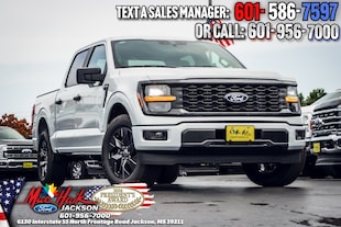 2025 Ford F-150 STX TRUCK