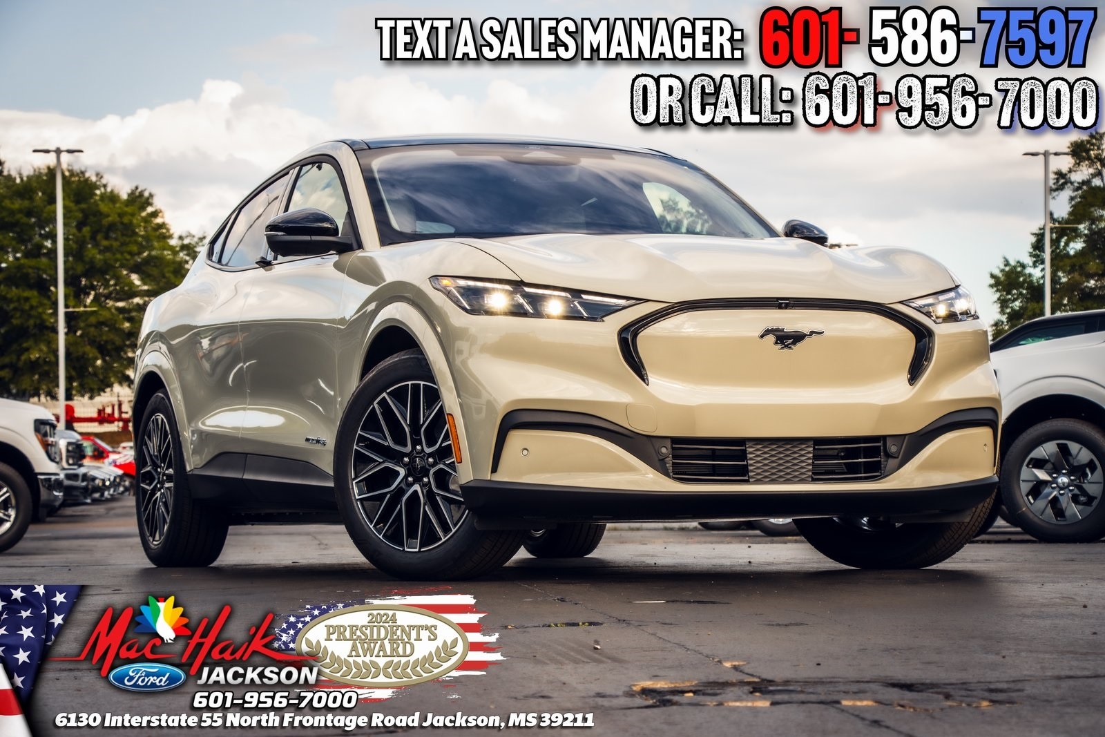 2025 Ford Mustang Mach-E Premium AWD's photo