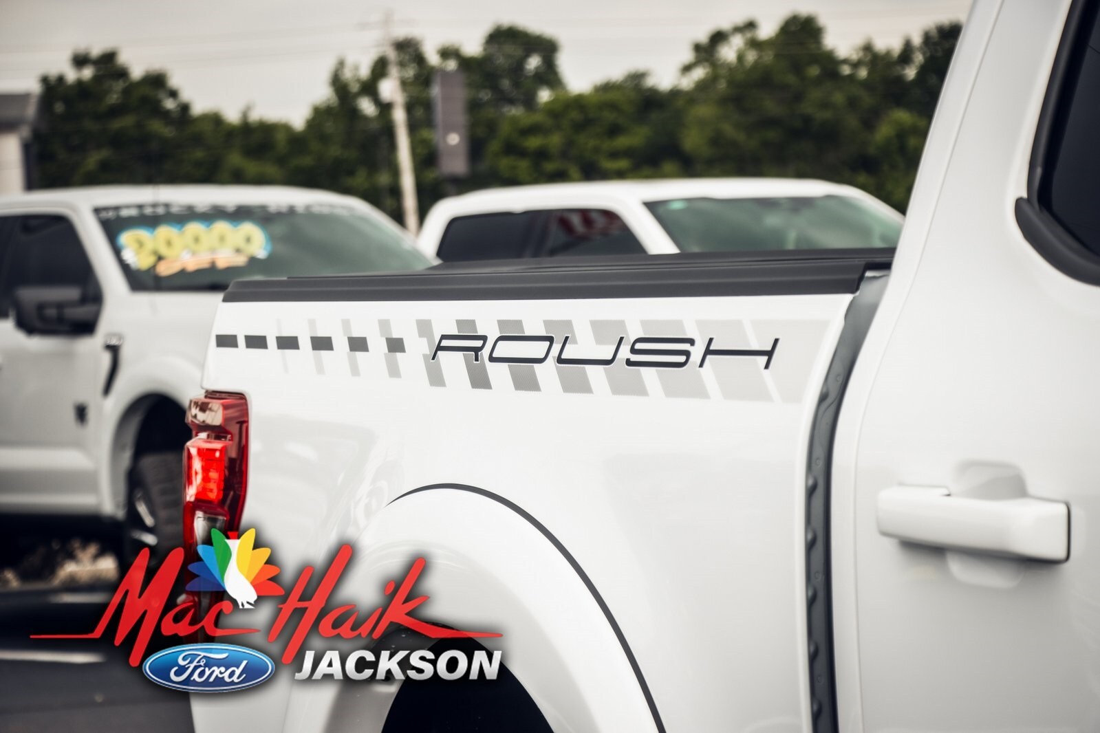 2024 Ford F-150 XLT photo 4