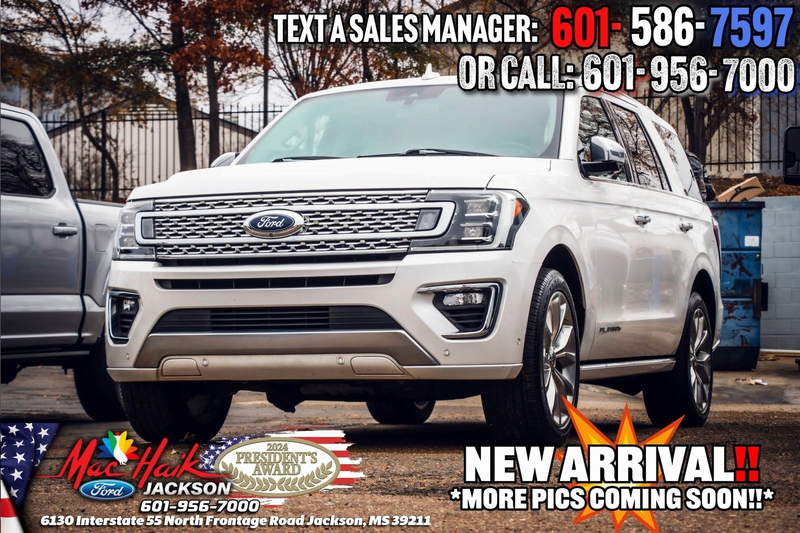 2019 Ford Expedition Platinum's photo