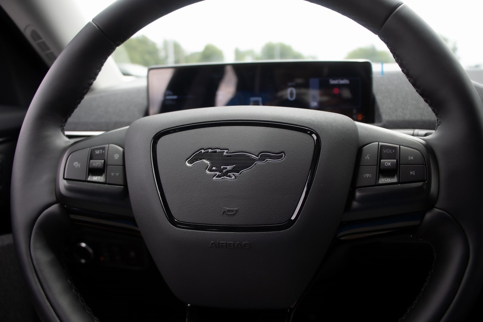 2025 Ford Mustang Mach-E Premium - Photo 14