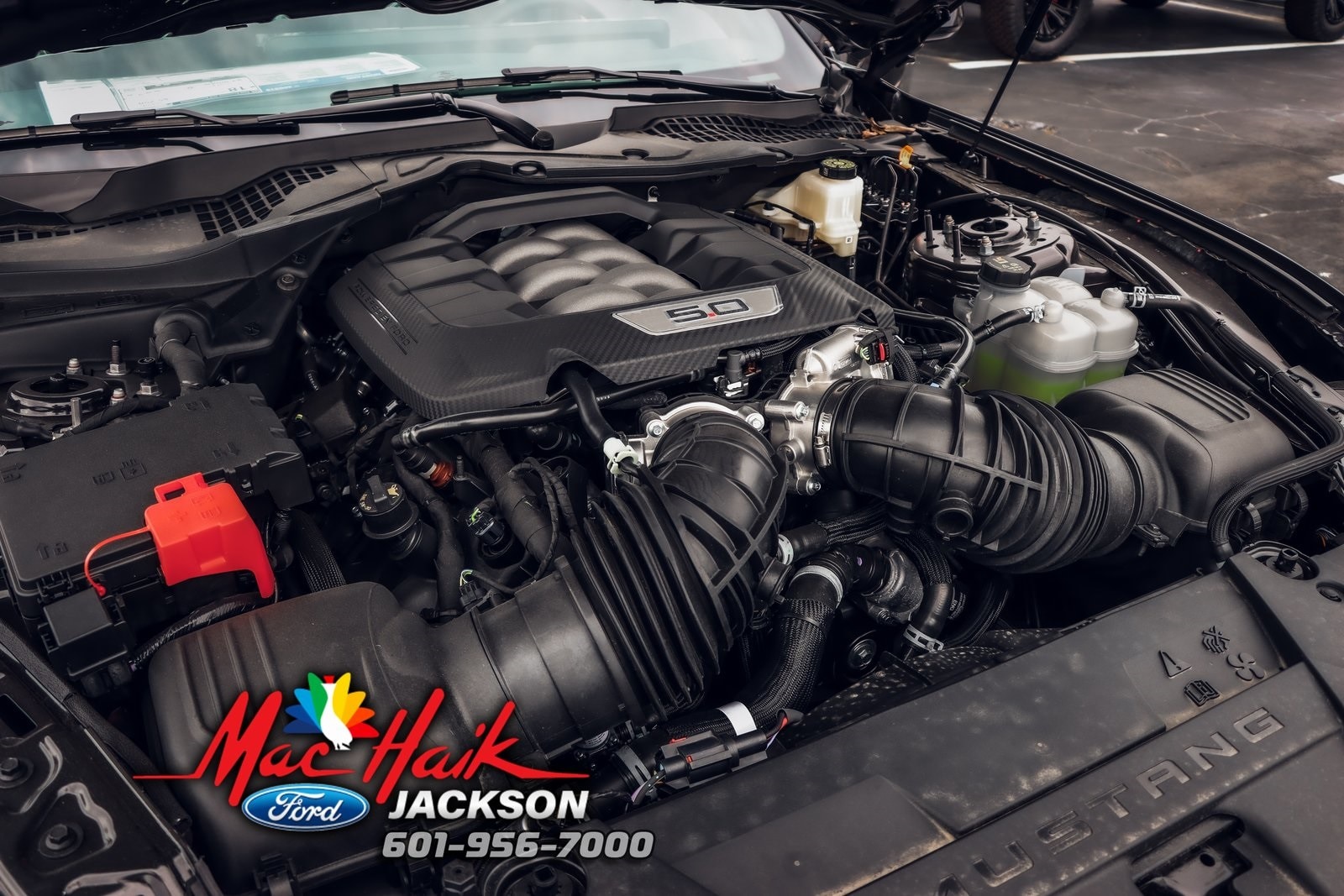 New 2025 Ford Mustang For Sale at Mac Haik Ford | VIN