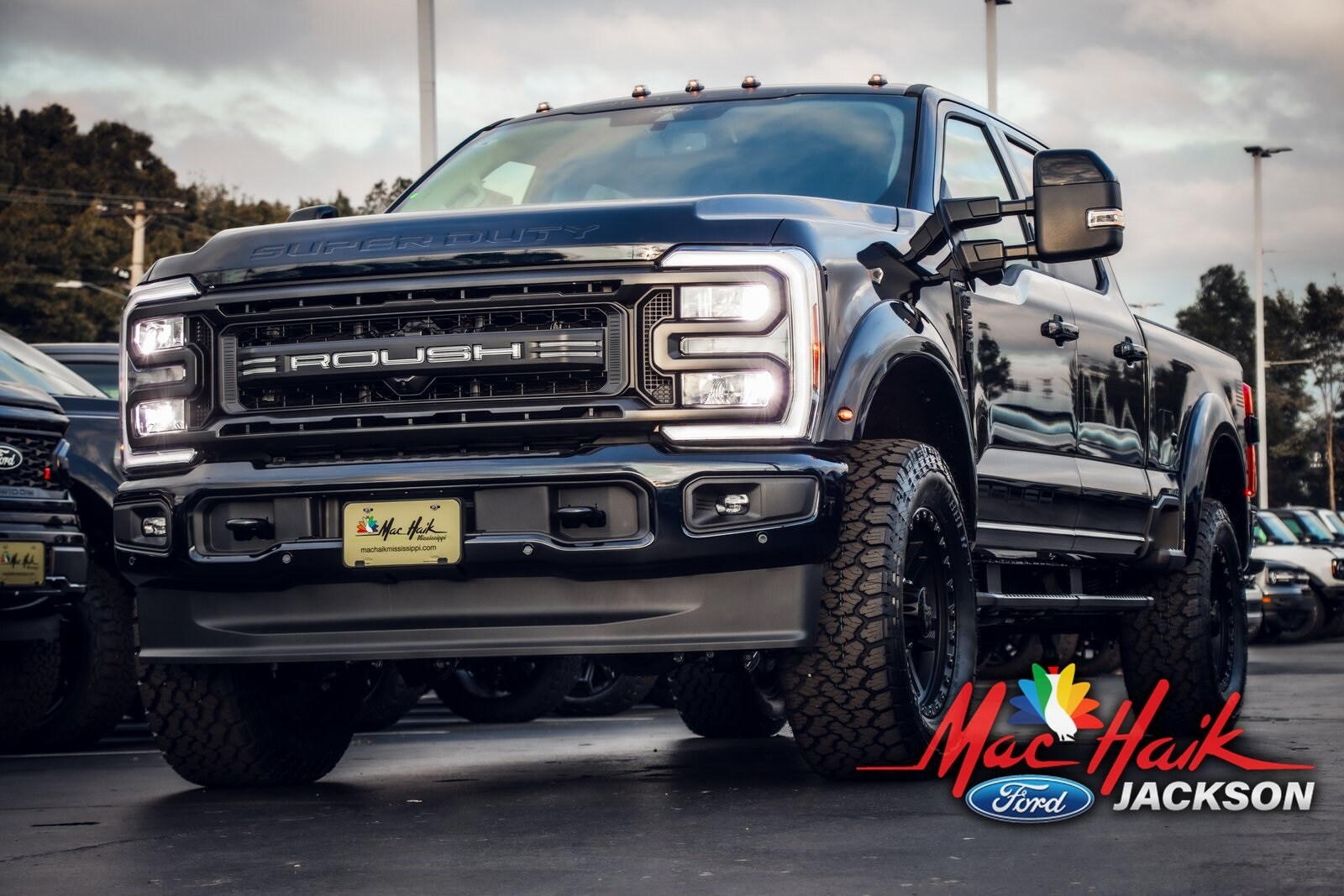 2024 Ford F-250 photo 4