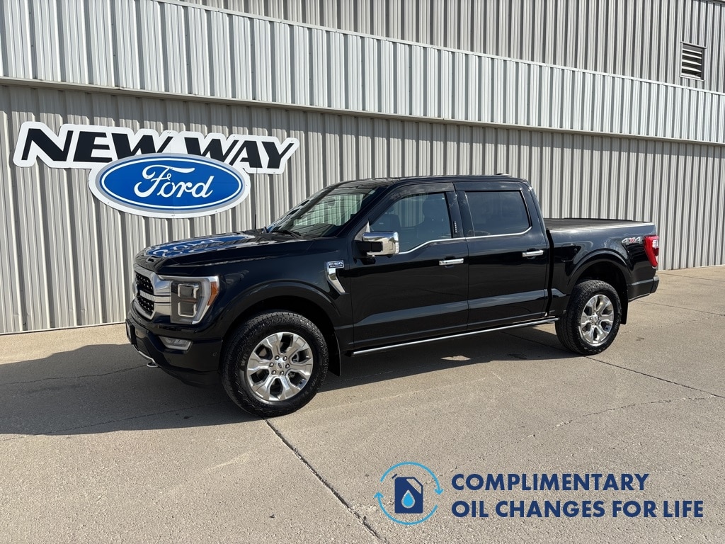 2023 Ford F-150 Platinum's photo