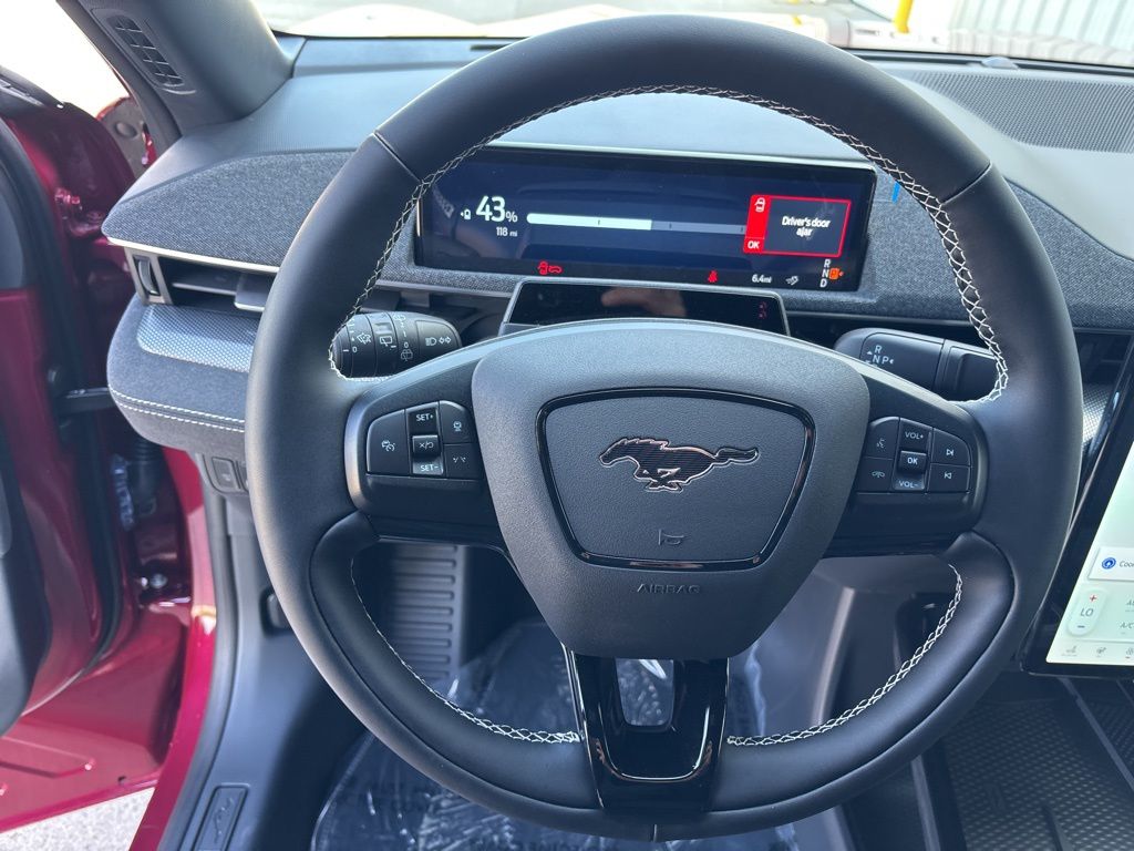 2025 Ford Mustang Mach-E GT - Photo 19