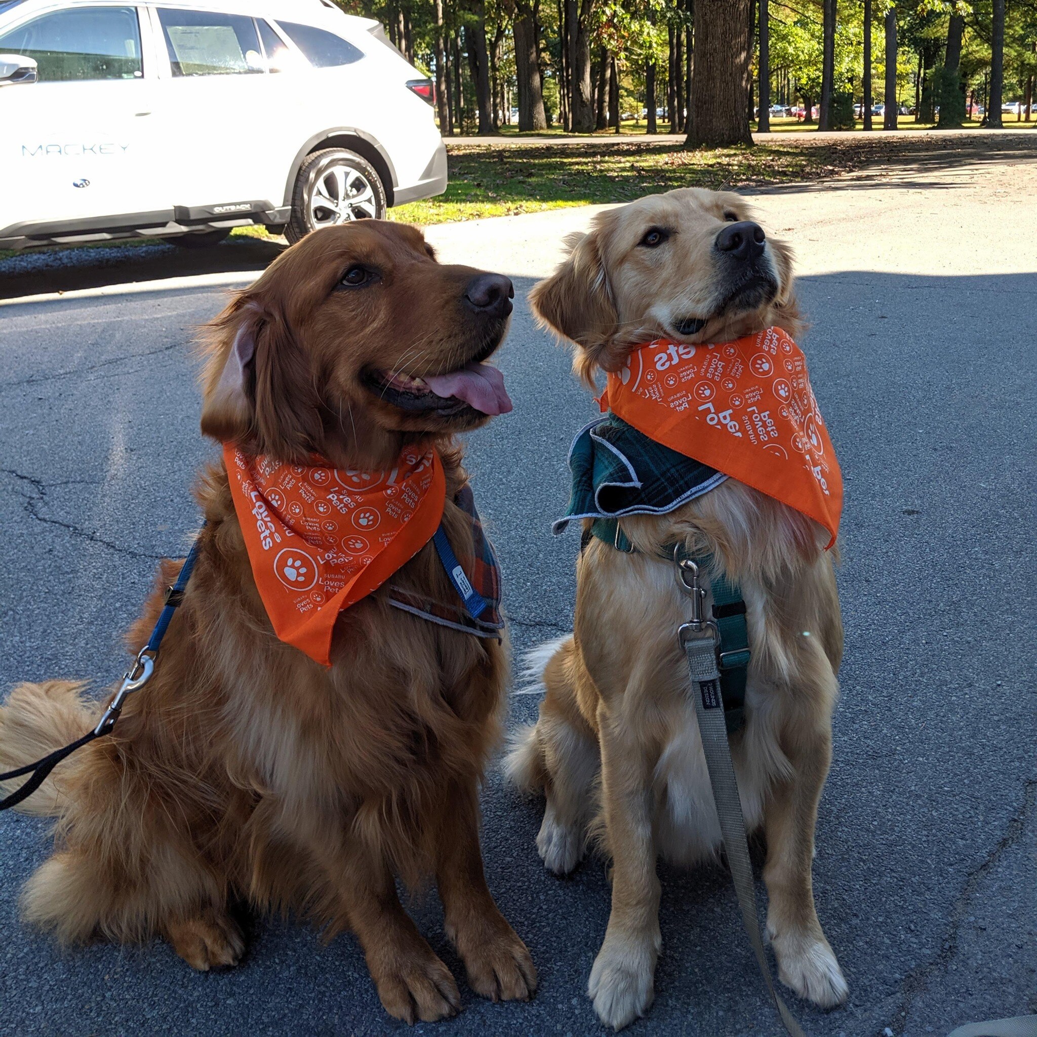 Saratoga Subaru Celebrates Success Sponsoring the Saratoga Wine And