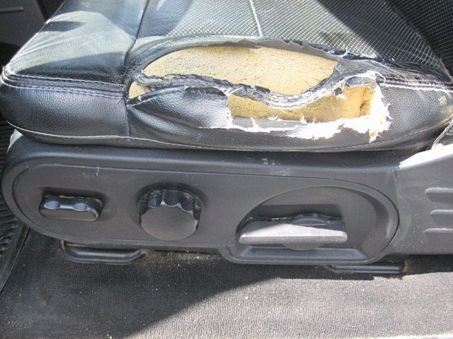 2006 Ford F-150 FX4 - Photo 15