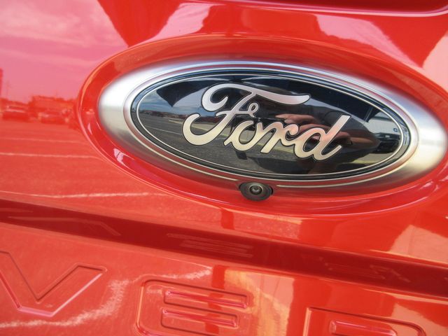 Photo 41
