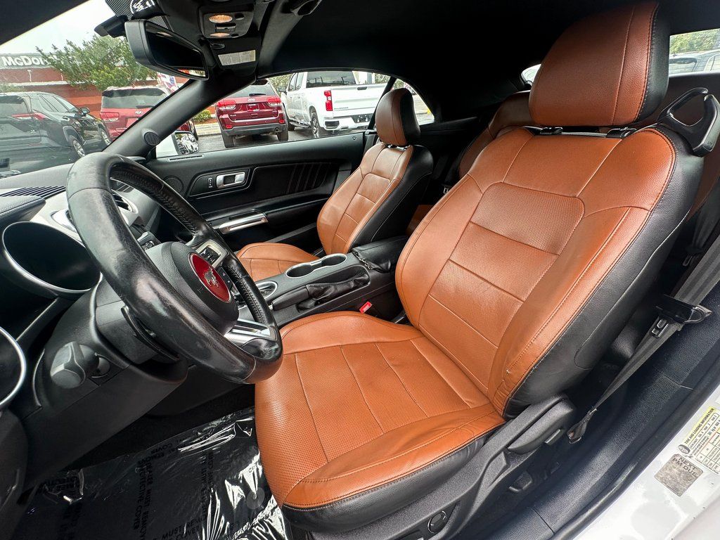 2019 Ford Mustang EcoBoost - Photo 13