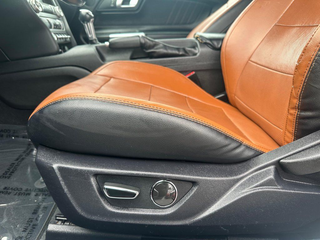 2019 Ford Mustang EcoBoost - Photo 22