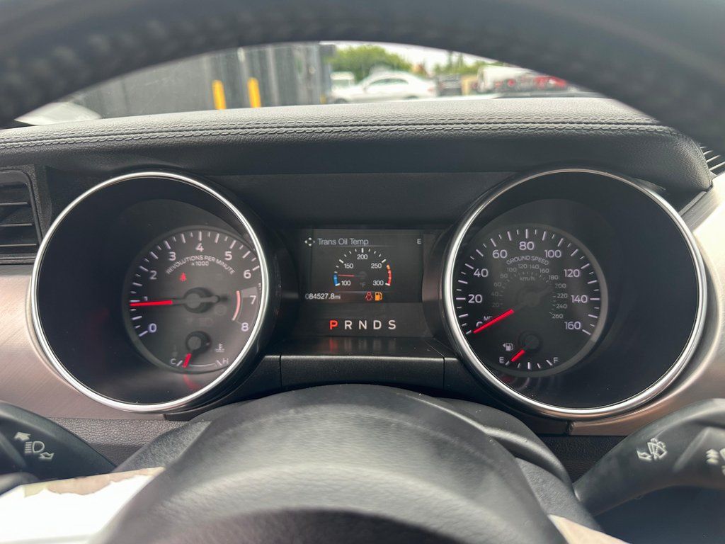 2019 Ford Mustang EcoBoost - Photo 16