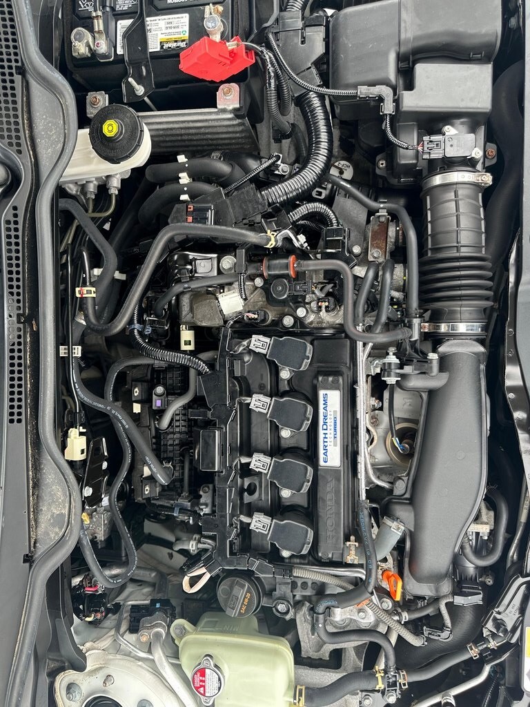 View 32