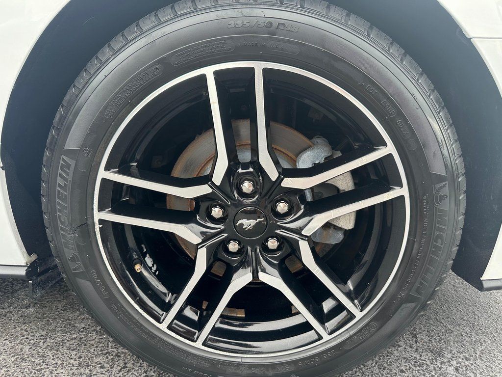 2019 Ford Mustang EcoBoost - Photo 23