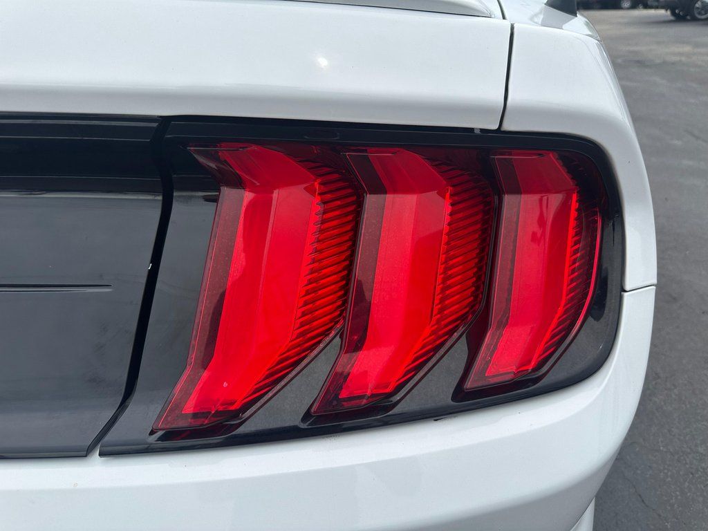 2019 Ford Mustang EcoBoost - Photo 12