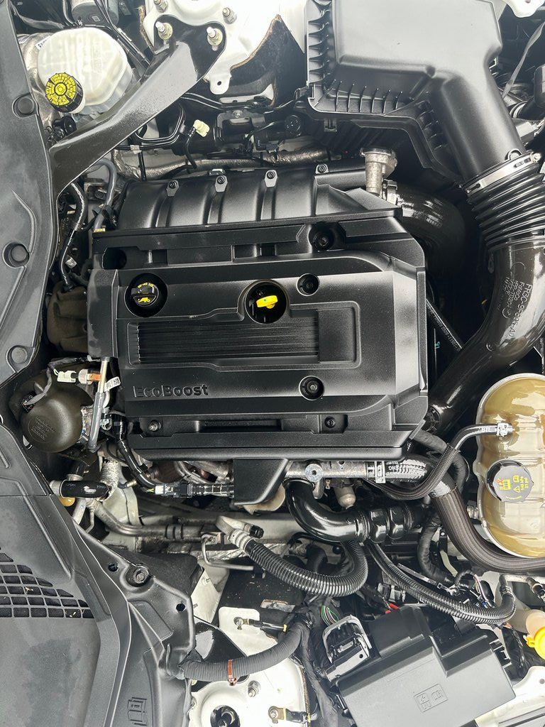 2019 Ford Mustang EcoBoost - Photo 24
