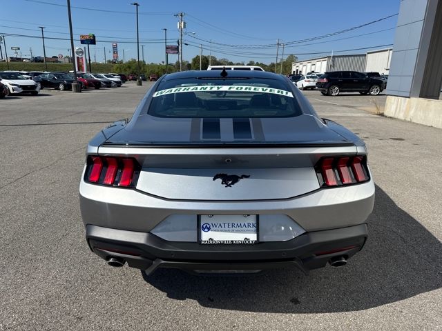 2025 Ford Mustang EcoBoost Premium photo 4