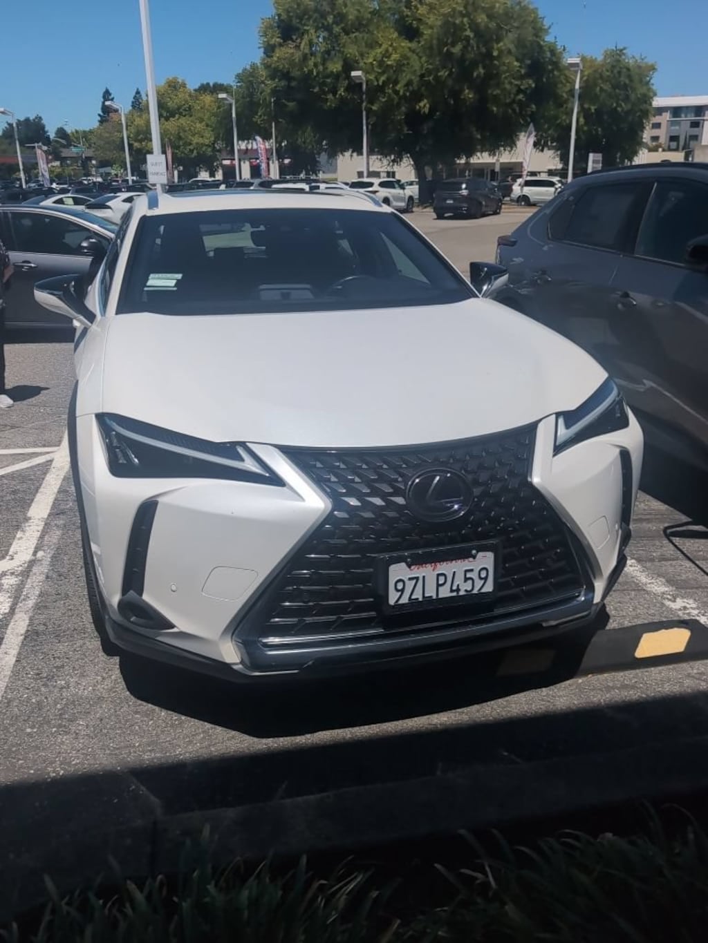 Used 2024 Lexus UX 250h Base Sport Utility