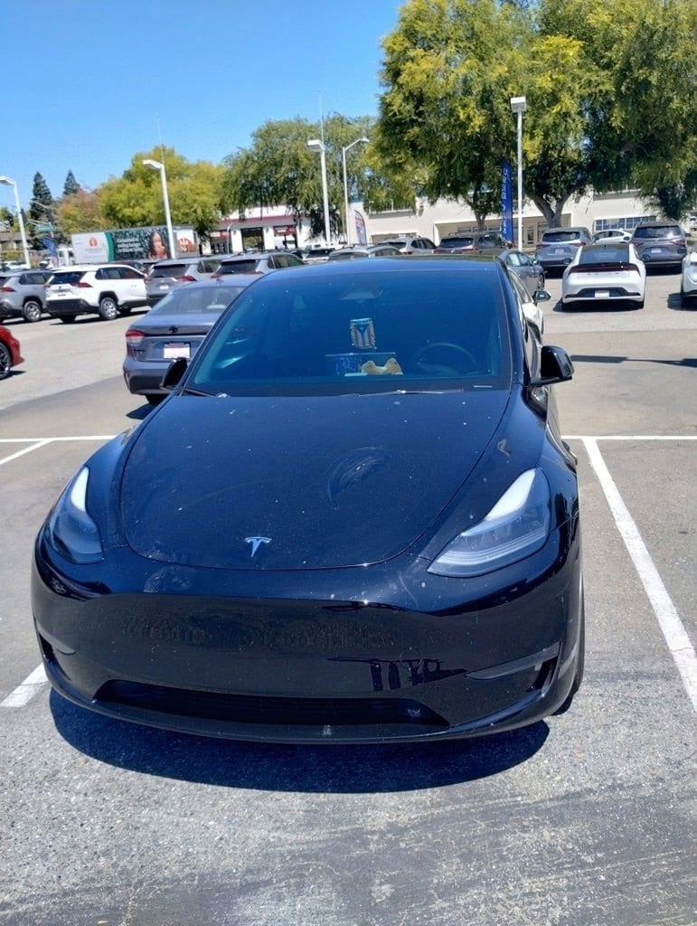 Used 2024 Tesla Model Y Performance with VIN 7SAYGDEF4RF064451 for sale in Northfield, Minnesota