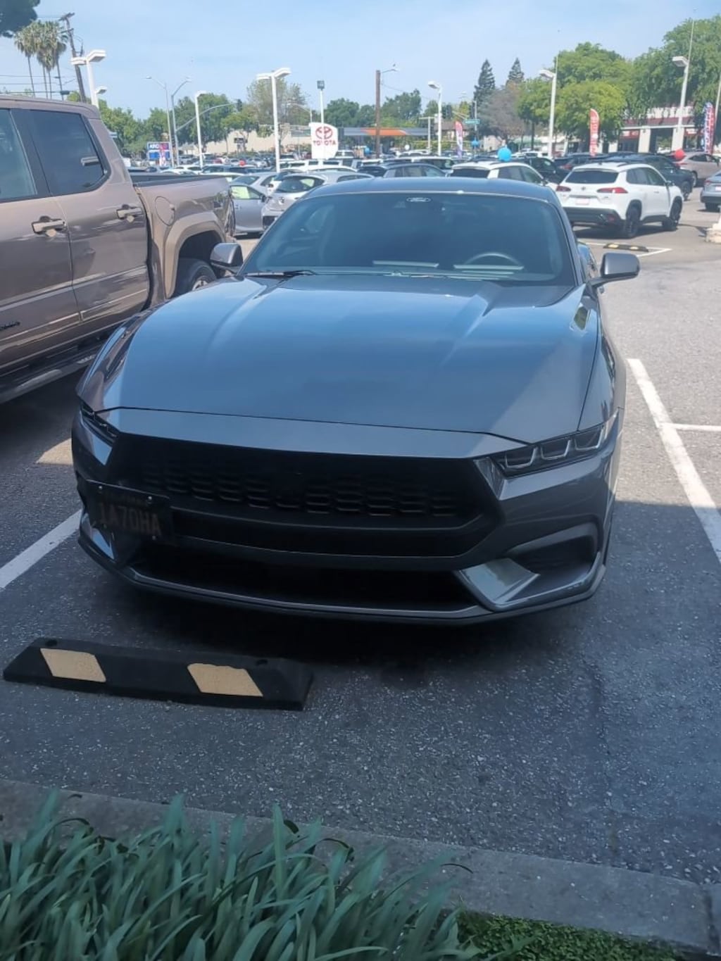 Used 2025 Ford Mustang EcoBoost Coupe