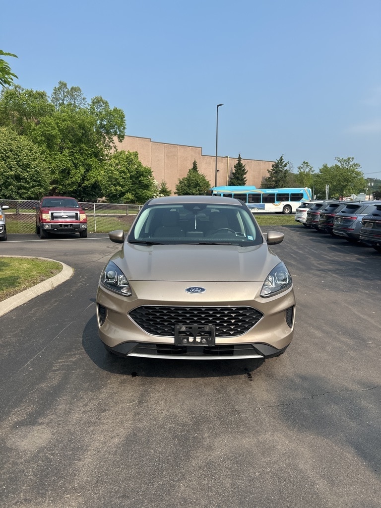 Used 2021 Ford Escape SE with VIN 1FMCU9G65MUA33540 for sale in Ithaca, NY