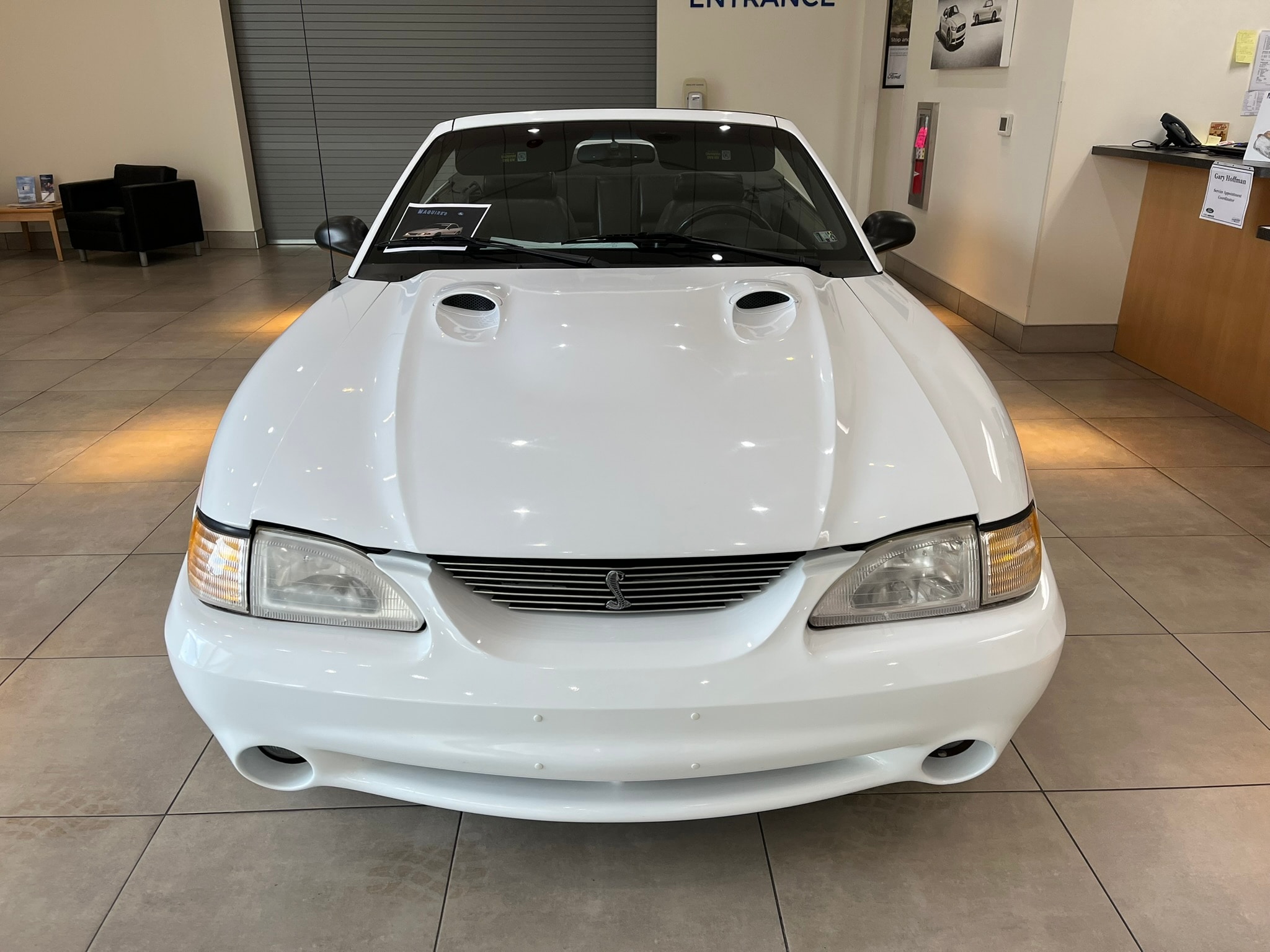 Used 1997 Ford Mustang COBRA with VIN 1FALP46VXVF144328 for sale in Duncannon, PA
