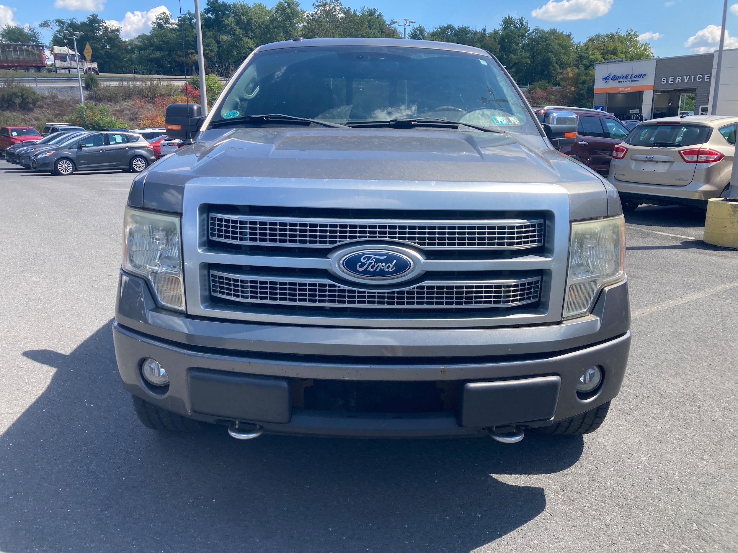 Used 2010 Ford F-150 Platinum with VIN 1FTFW1EV4AFD74645 for sale in Duncannon, PA