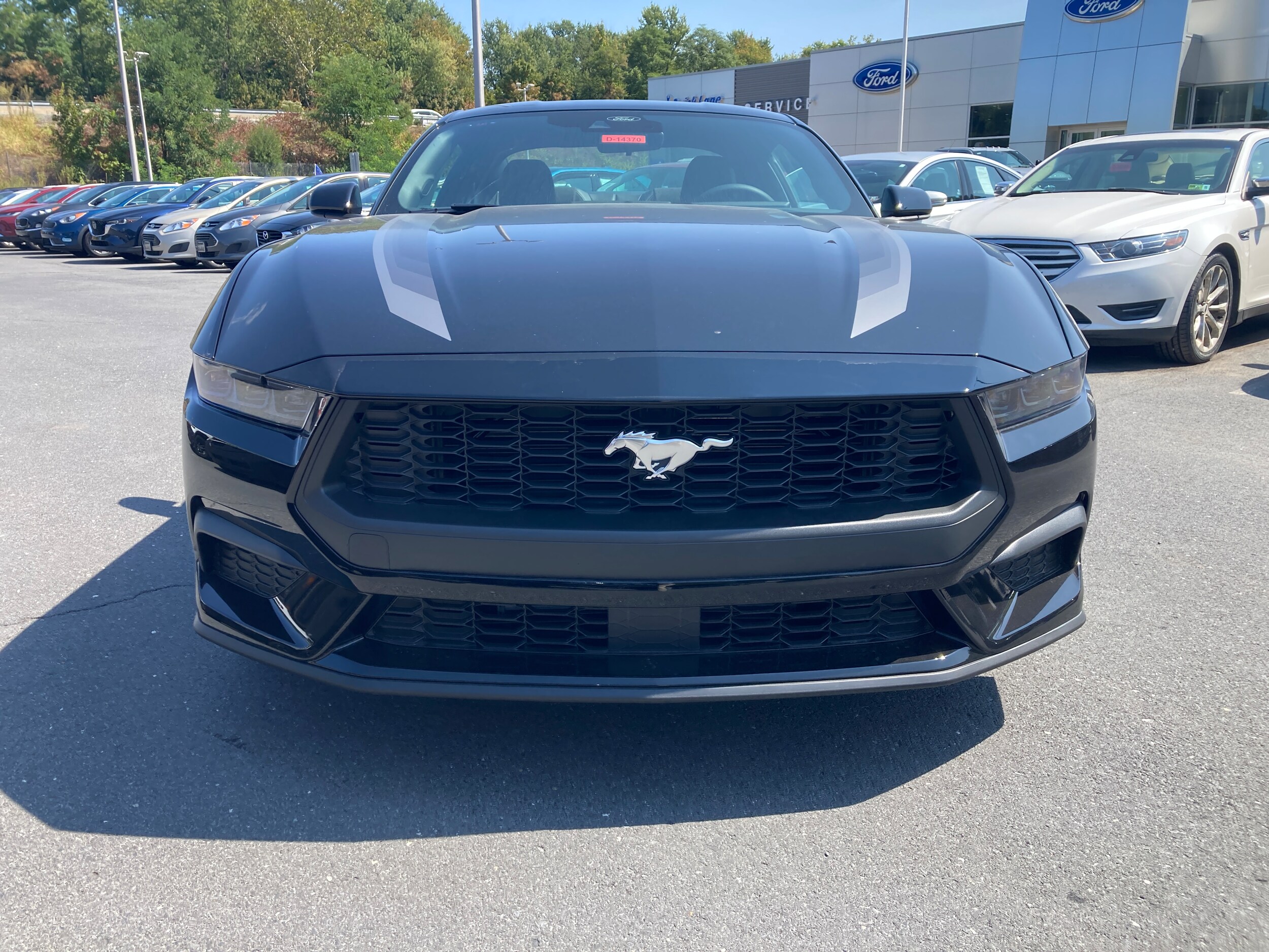 2025 Ford Mustang EcoBoost photo 2