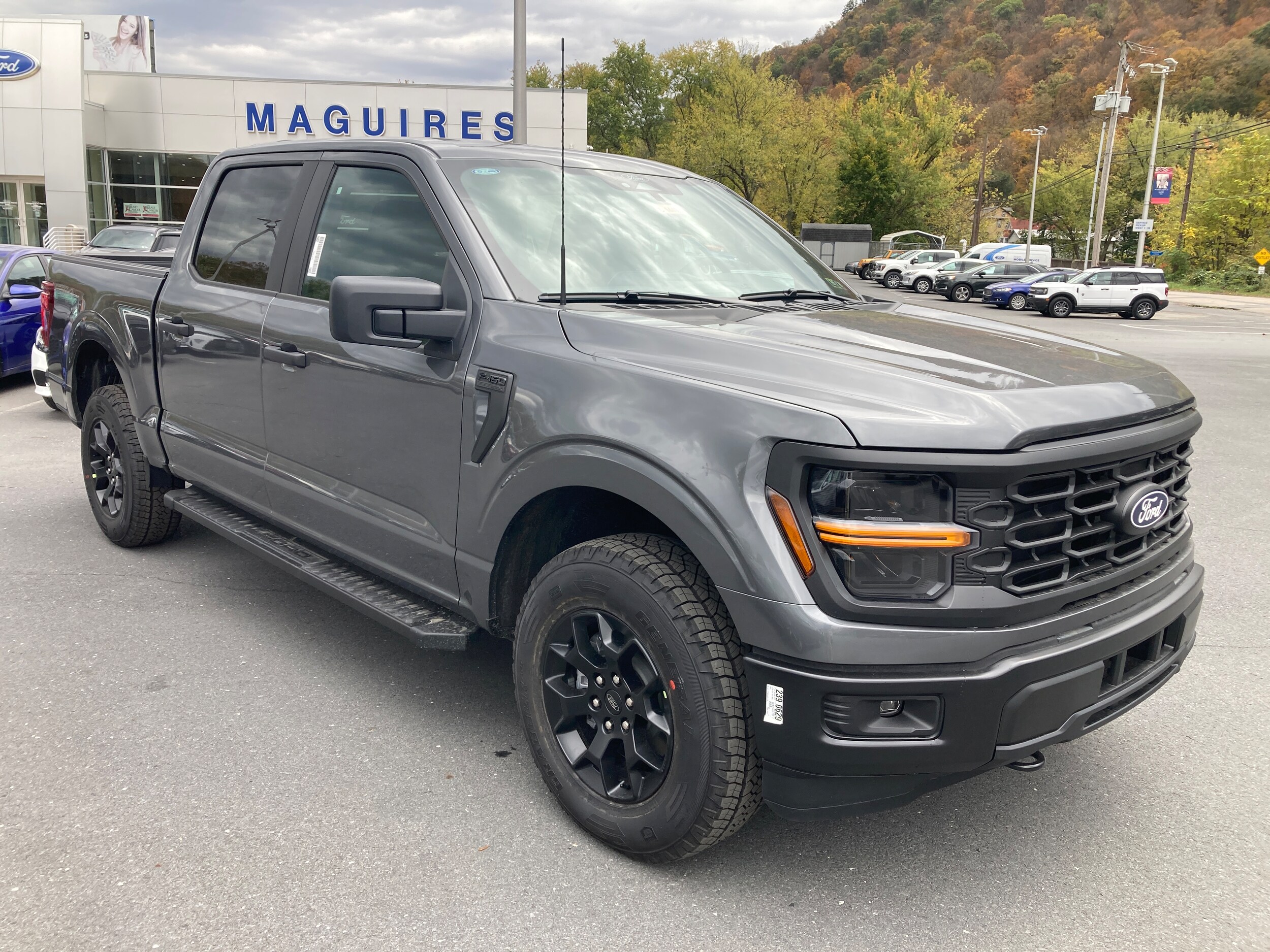 2025 Ford F-150 STX FX4 photo 2