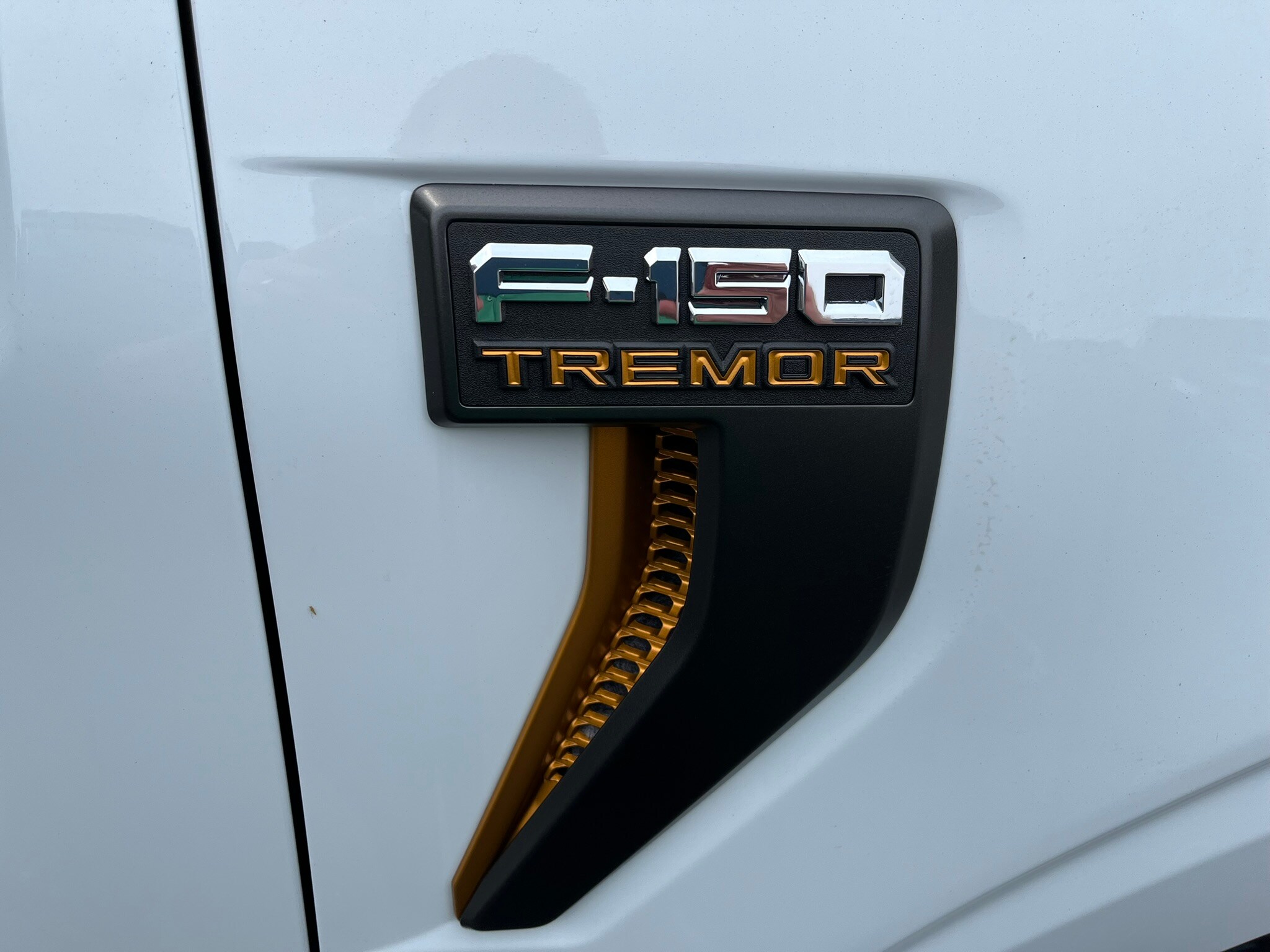 2025 Ford F-150 Tremor photo 3