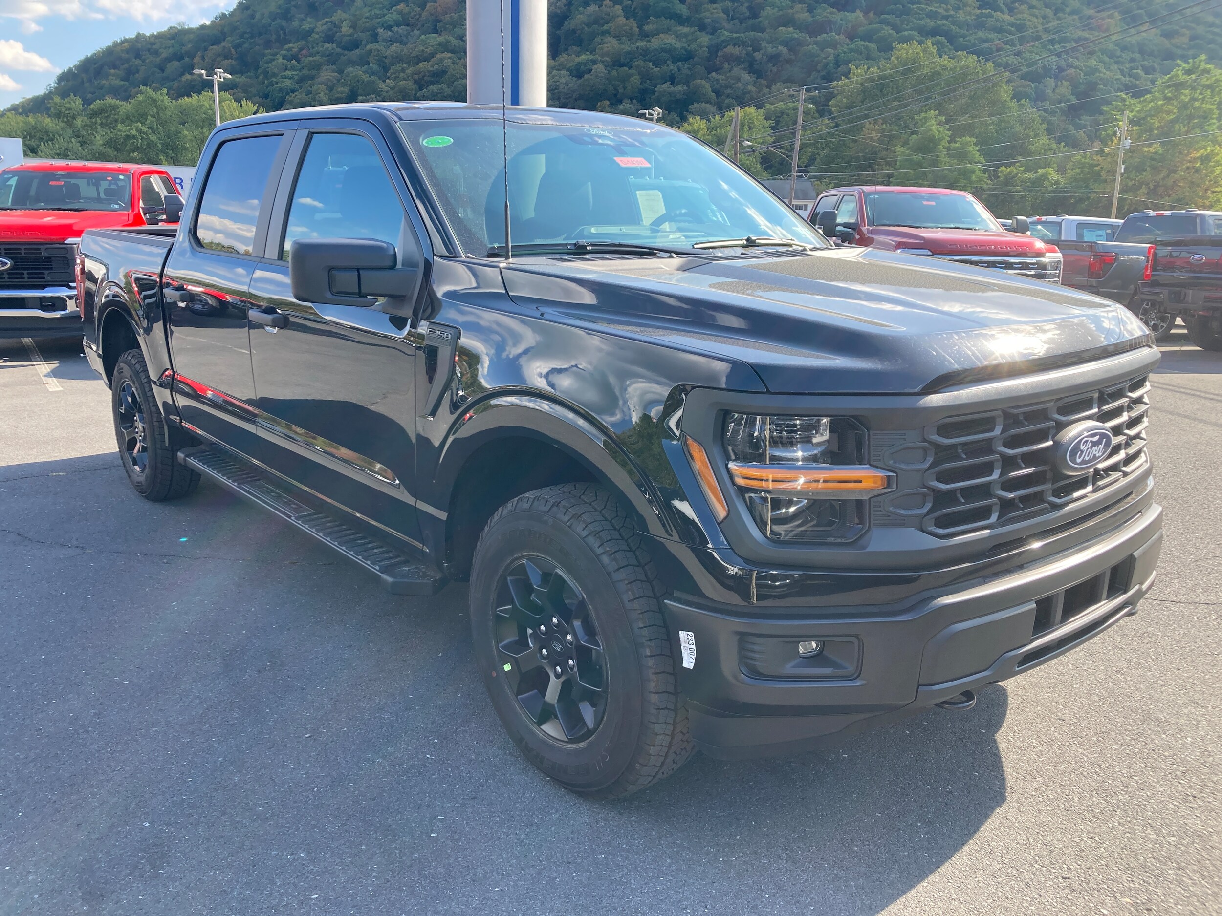 2025 Ford F-150 STX FX4 photo 3