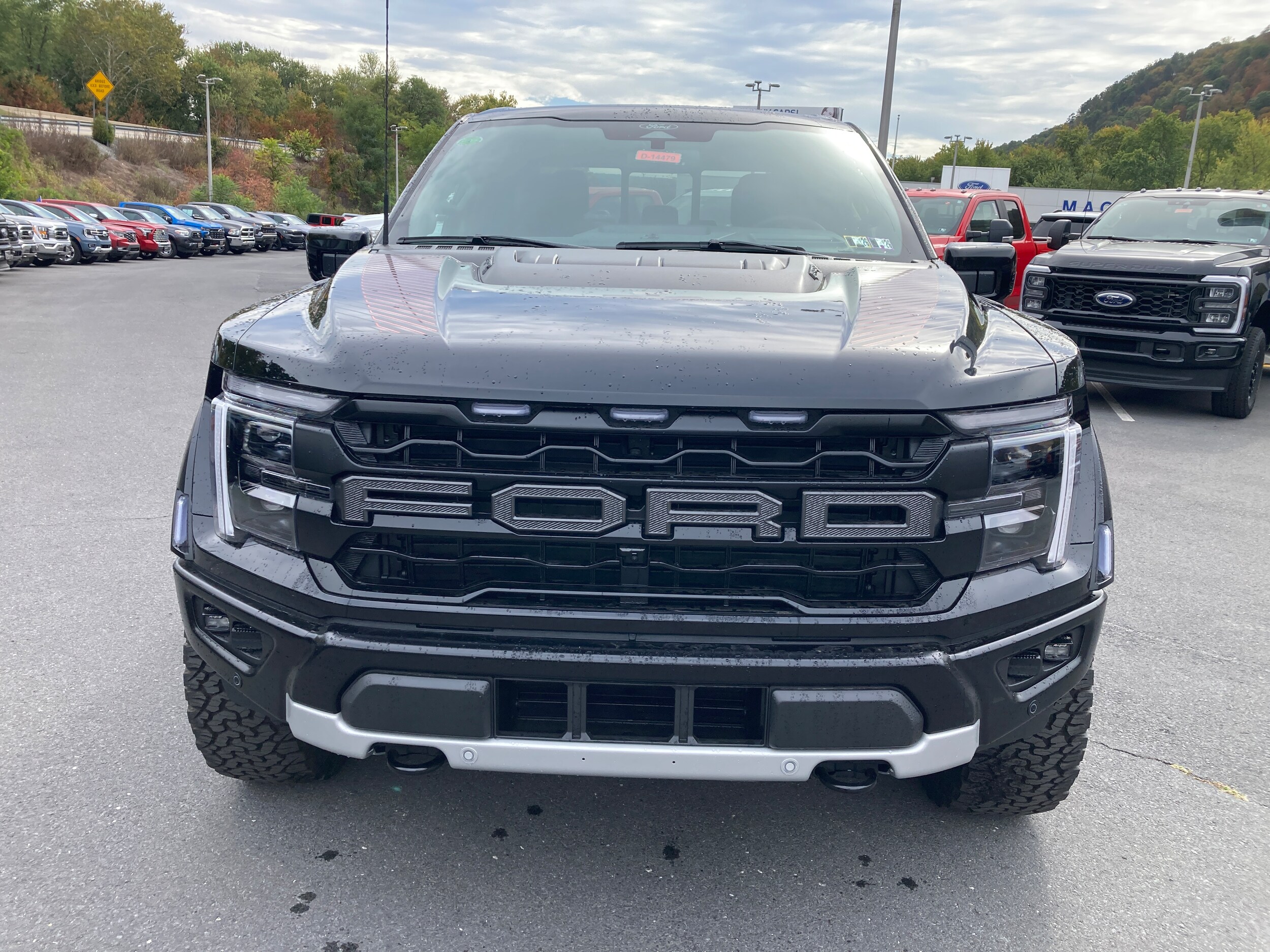 2025 Ford F-150 Raptor photo 2