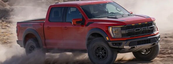 expert off-road travel