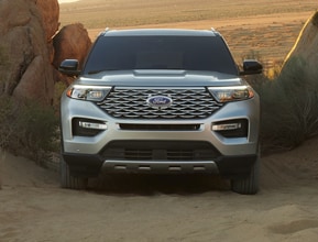 where beauty and muscle meet