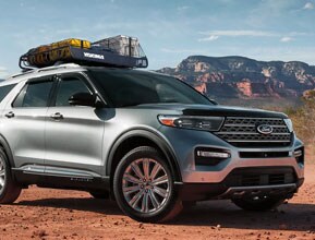 where beauty and muscle meet