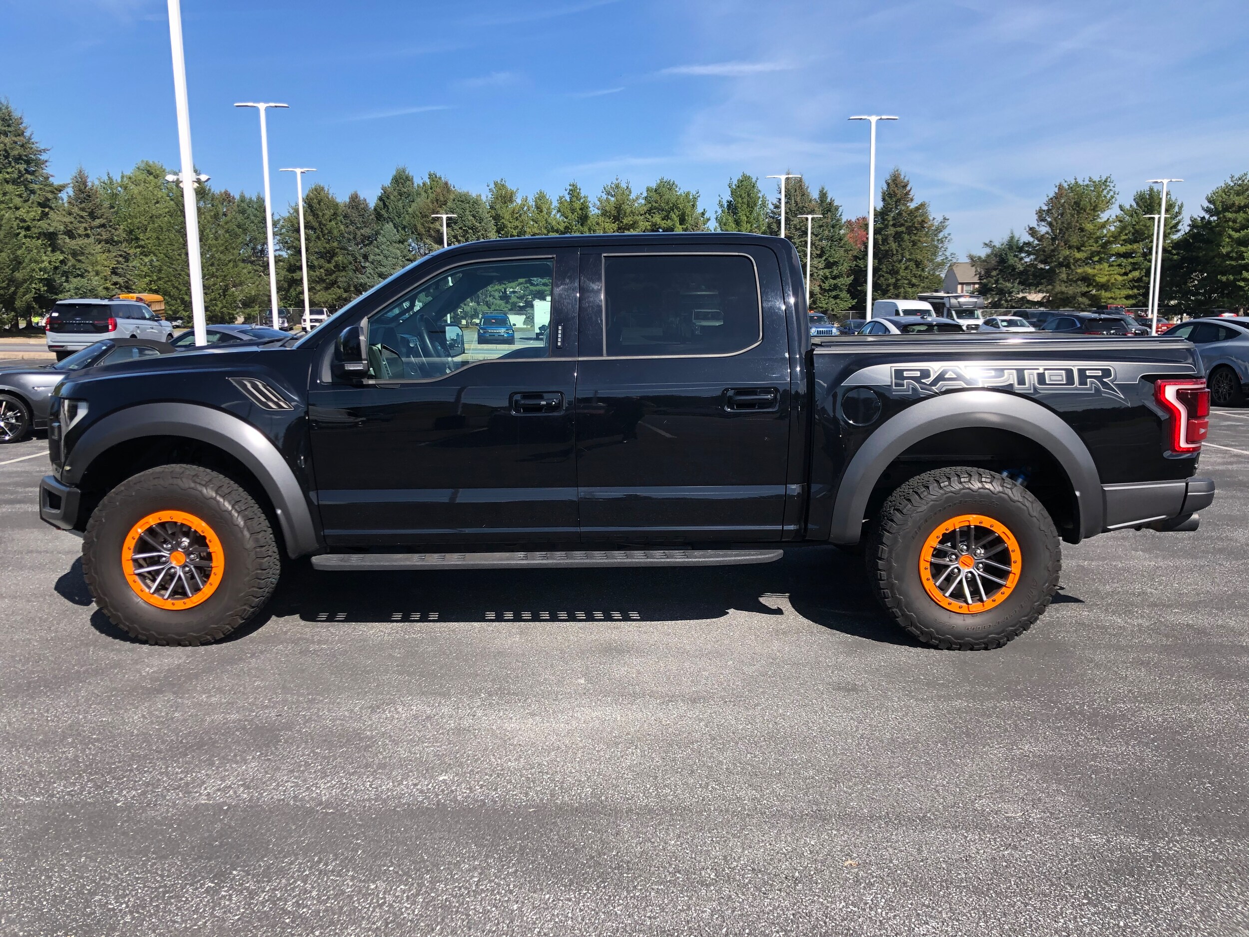 2018 Ford F-150 Raptor photo 2