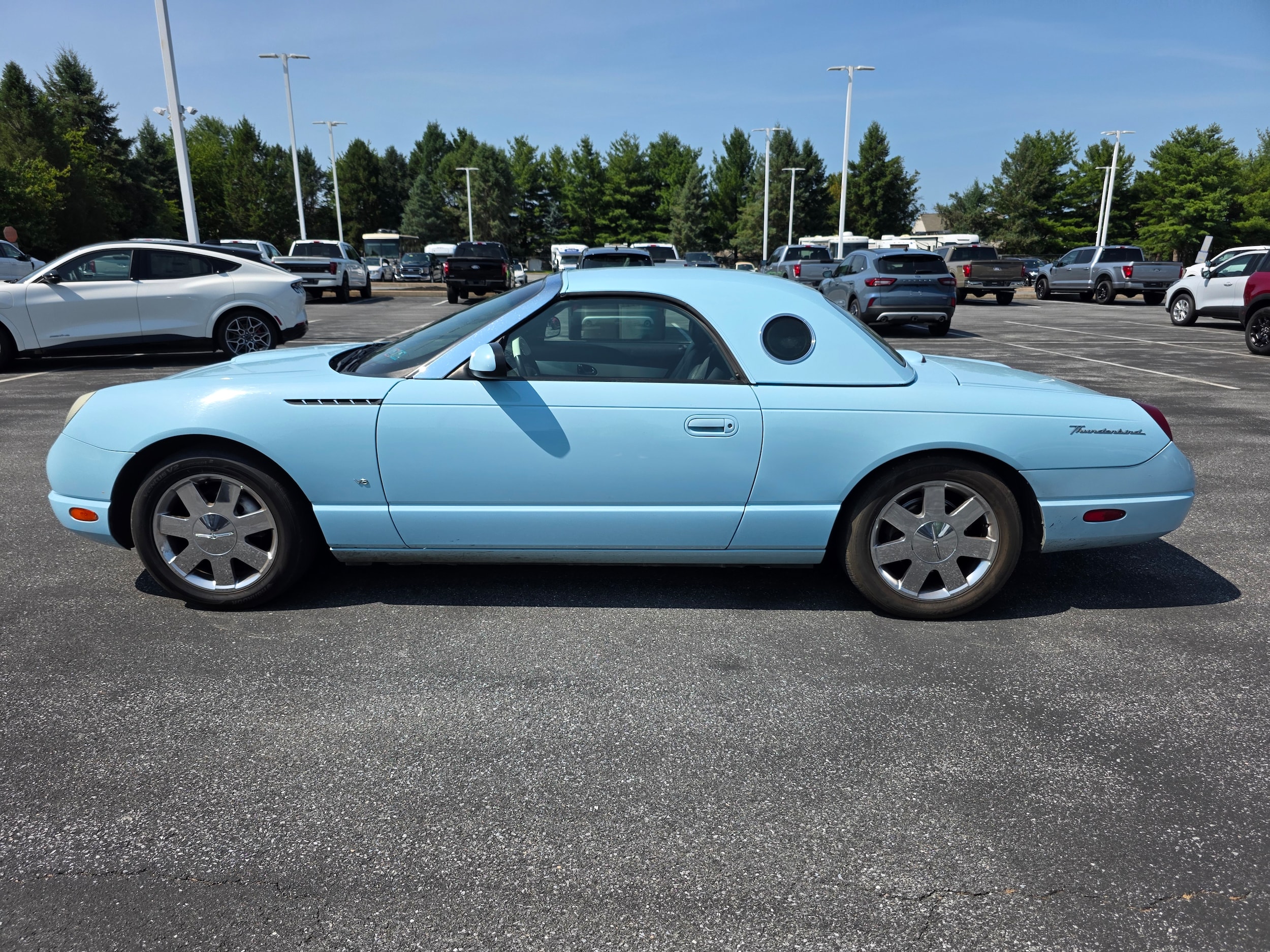 Used 2003 Ford Thunderbird Premium with VIN 1FAHP60A03Y101416 for sale in Palmyra, PA
