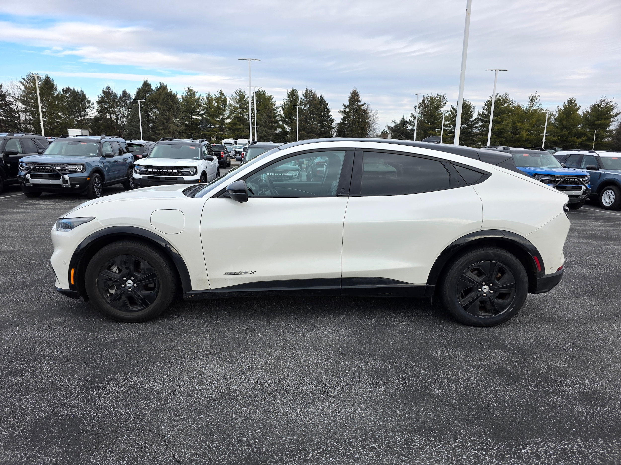 Certified 2021 Ford Mustang Mach-E California Route 1 RWD with VIN 3FMTK2R74MMA00178 for sale in Palmyra, PA