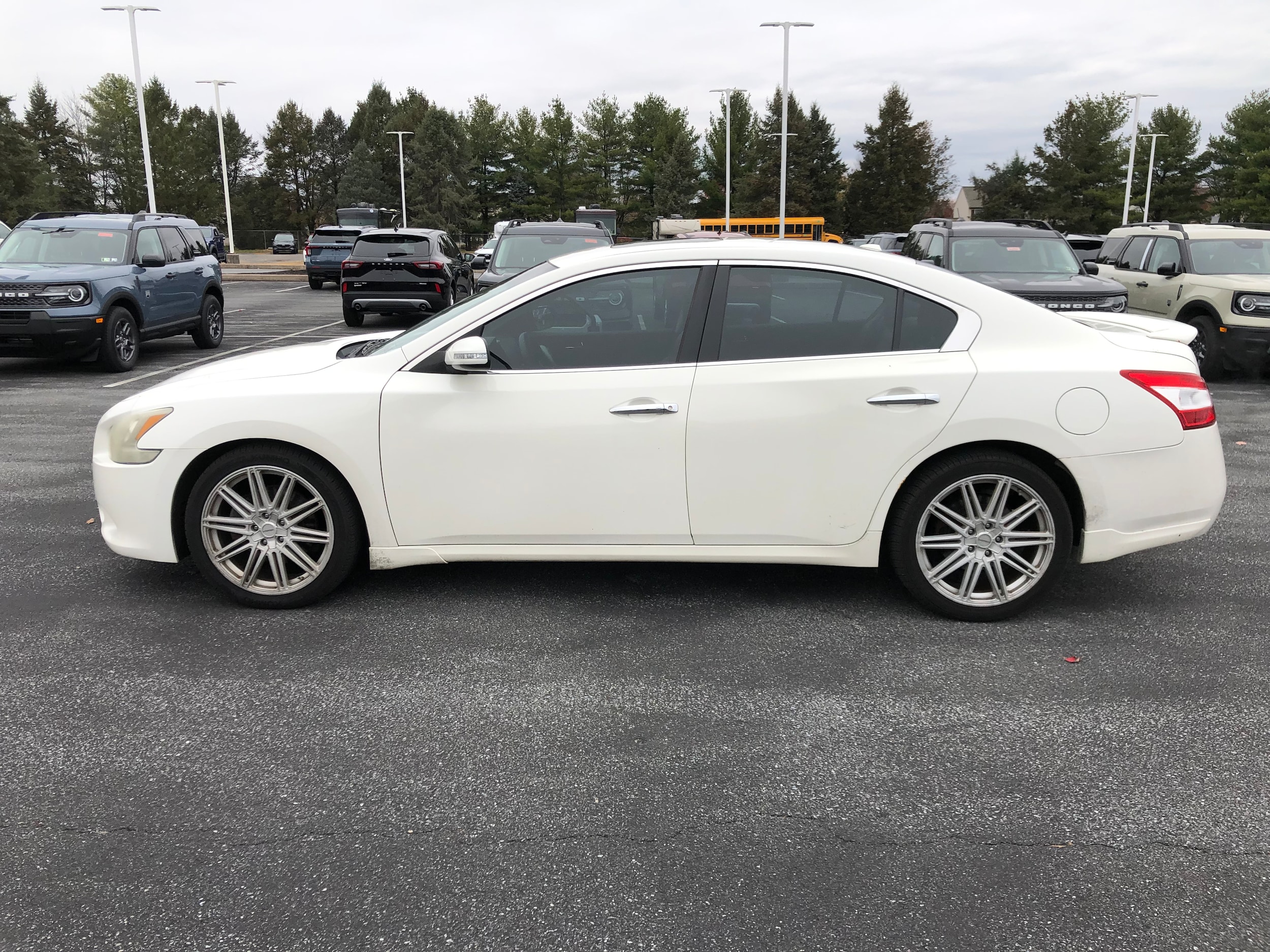 Used 2010 Nissan Maxima SV with VIN 1N4AA5AP1AC819342 for sale in Palmyra, PA